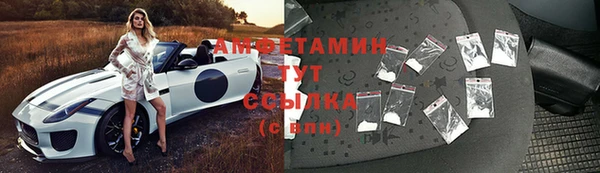 молекула духа Алзамай