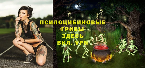 герыч Алексеевка